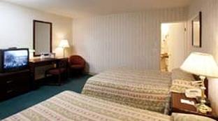 Motel Zed